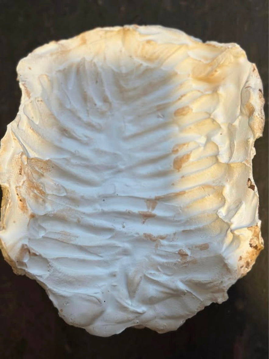 Death Mask - Nathaniel’s Antiques